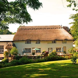 The Barn And Pinn Cottage